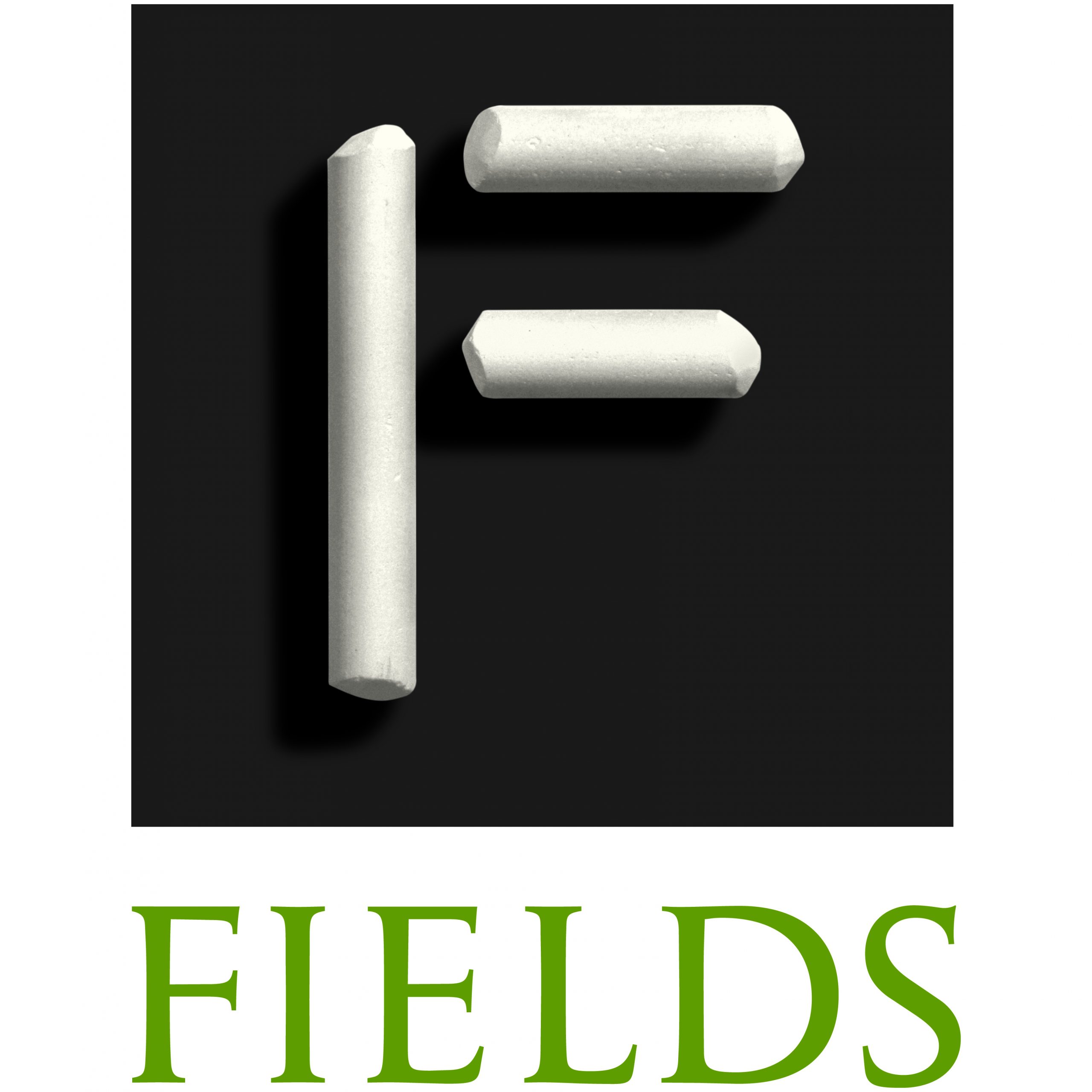 Fields Institute for Research in Mathematical Sciences Logo